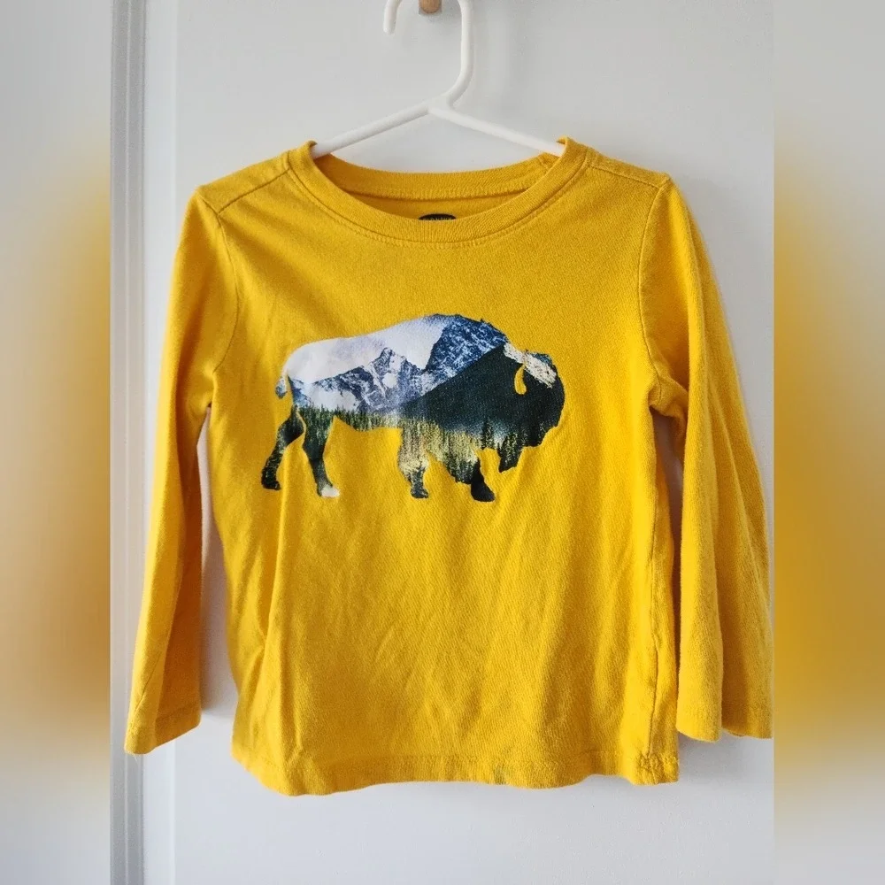 Kid's 3t Old Navy Graphic T-Shirt Buffalo Landscape Print Long Sleeve Top Fall
